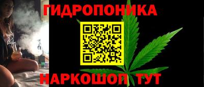 apvp Лесосибирск