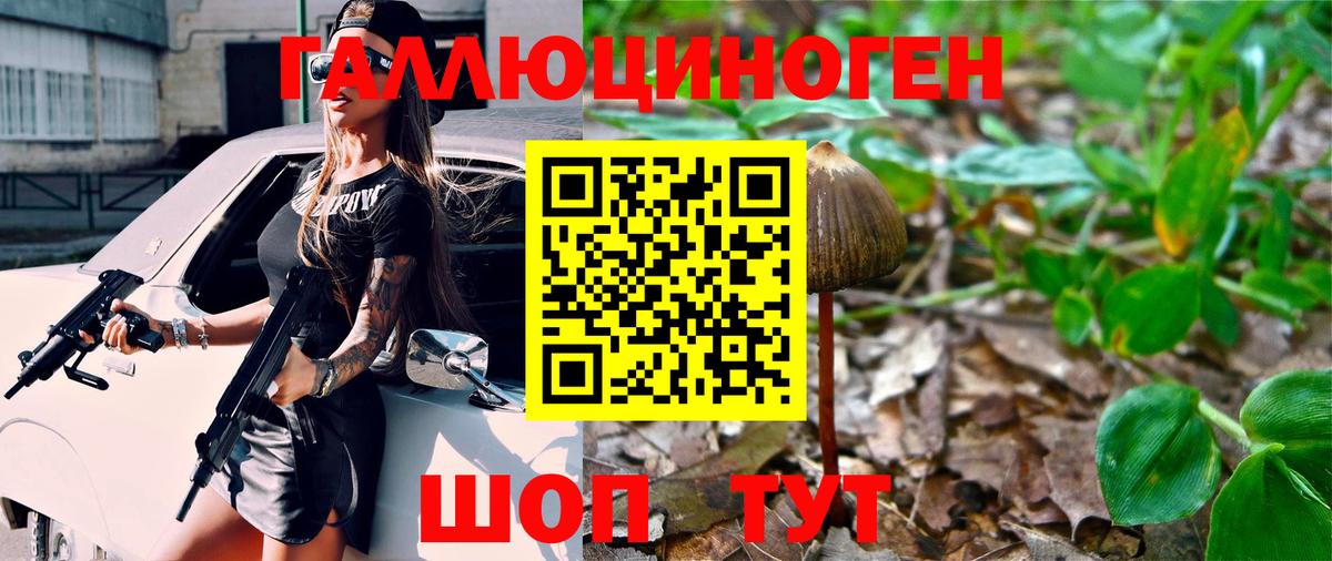 Галлюциногенные грибы мицелий  Вход с VPN  Избербаш 